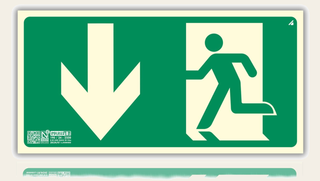 Señal Evacuación Salida Abajo Homologada de pvc fotoluminiscente, 16x32 cm