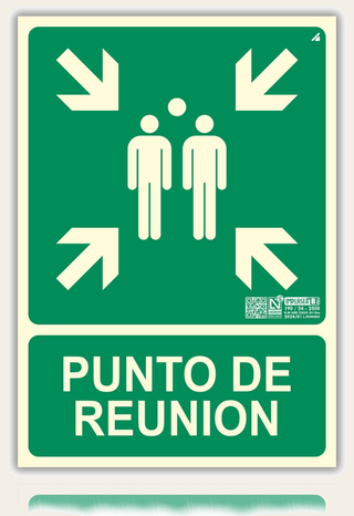 Señal Punto de Reunión Homologada de pvc fotoluminiscente, 21x30 cm